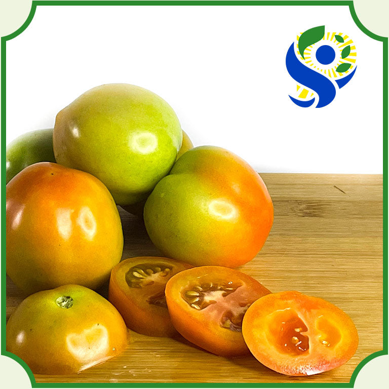 Kamatis – Sentrong Pamilihan